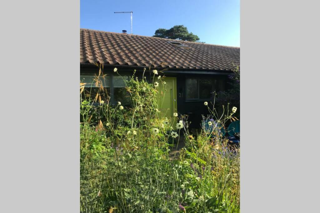 The Yellow Door Whitstable - Peaceful Retreat Close To Beach Экстерьер фото